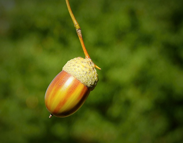 Comment savoir si on a perdu son gland de lait ?