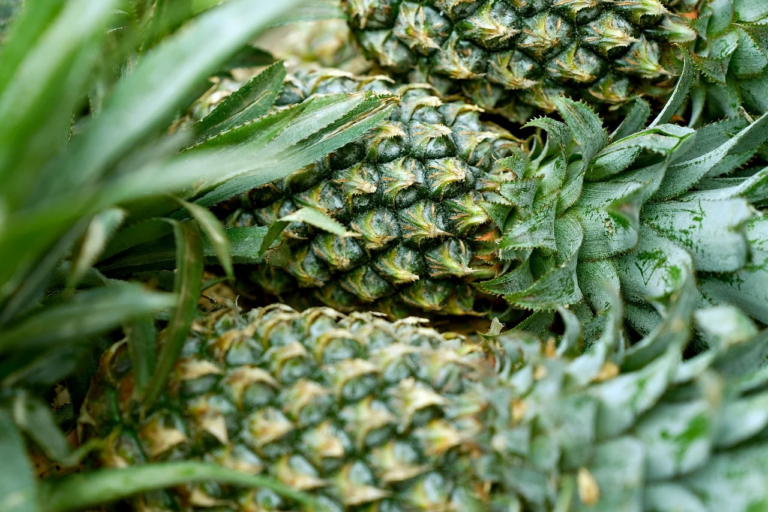 Comment Choisir un Ananas : Guide Pratique pour Détecter un Fruit Mûr et Savoureux