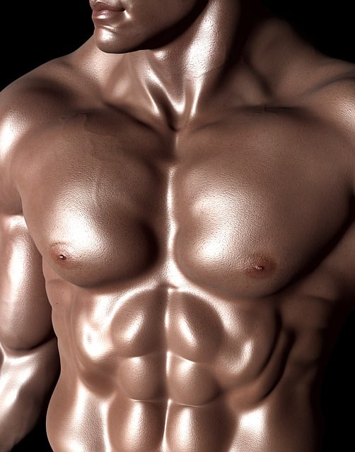 Comment Travailler le Bas des Pectoraux : Guide Complet pour un Développement Musculaire Harmonieux