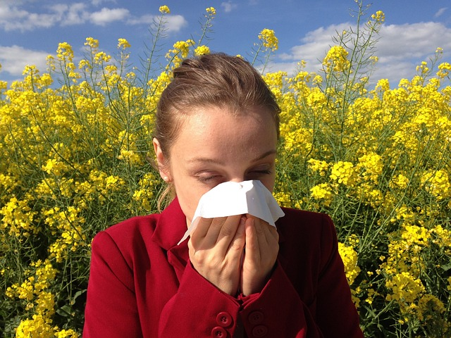 Comment Calmer une Allergie Sans Médicament : Astuces Naturelles et Conseils Pratiques