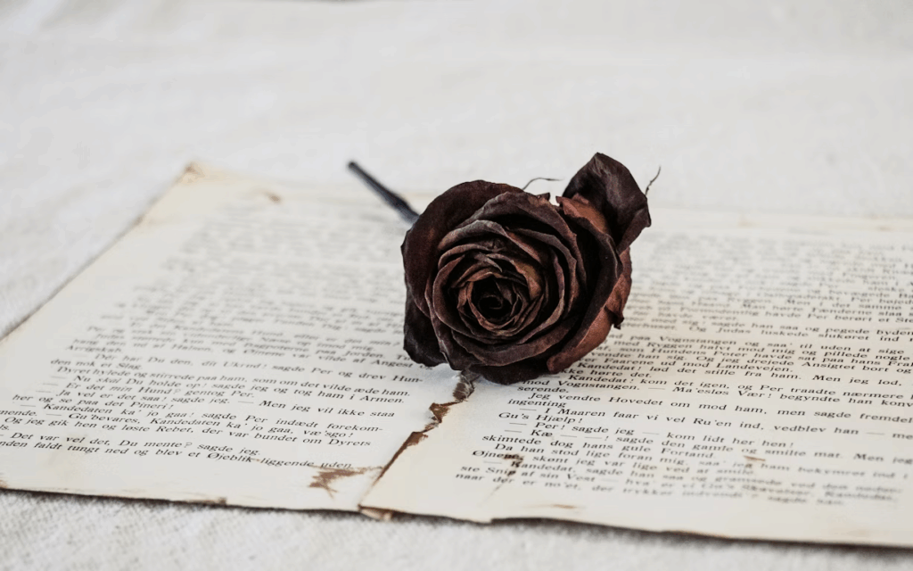 Comment faire sécher une rose : 4 méthodes faciles et efficaces