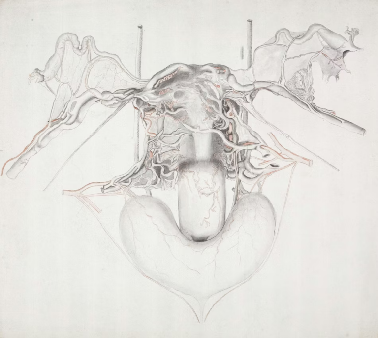 Comment nettoyer l'utérus après un avortement ?