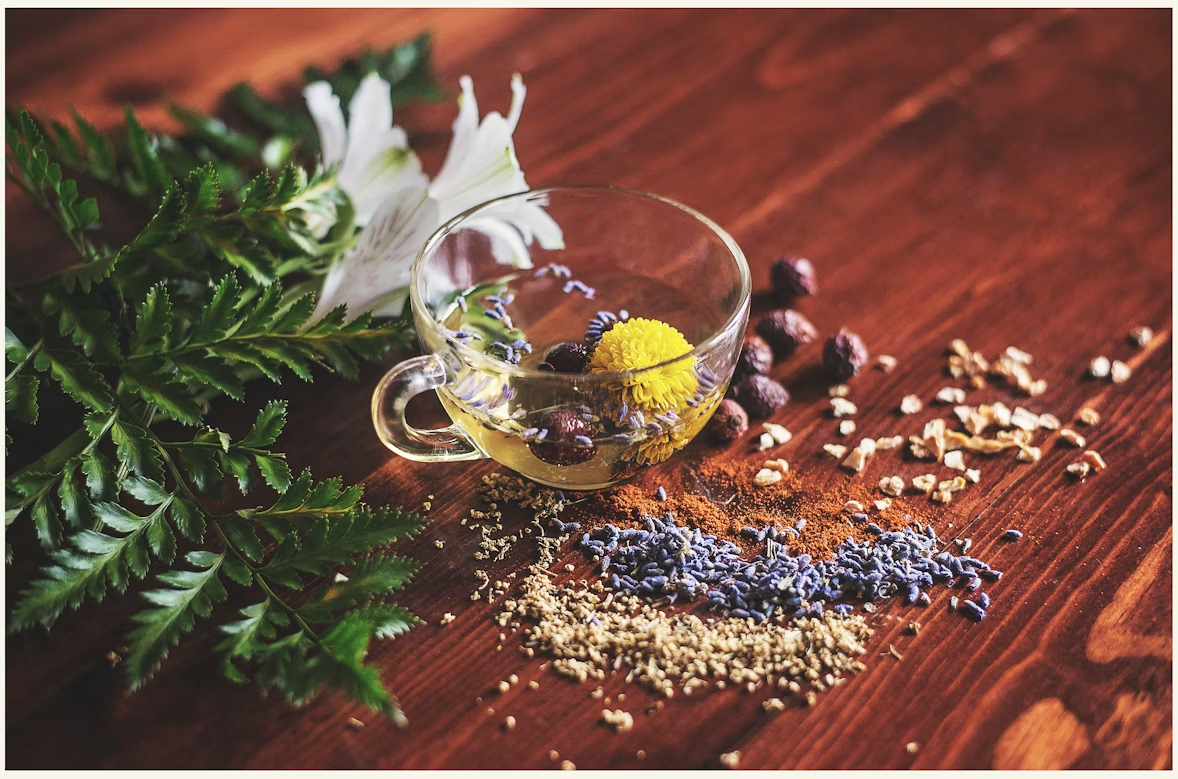Comment conserver des herbes fraîches longtemps ?